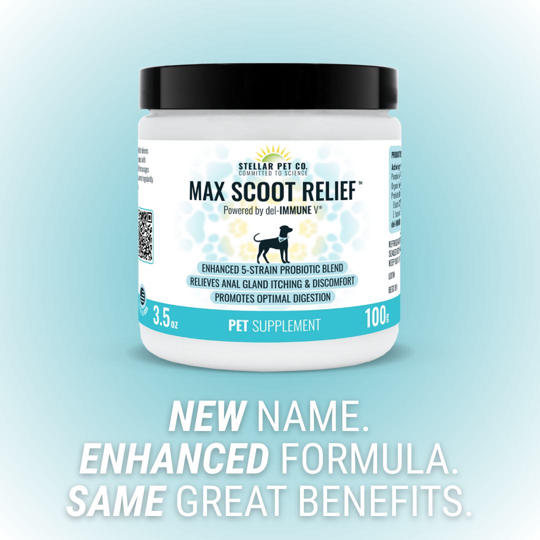 Max Scoot Relief™ for Dogs