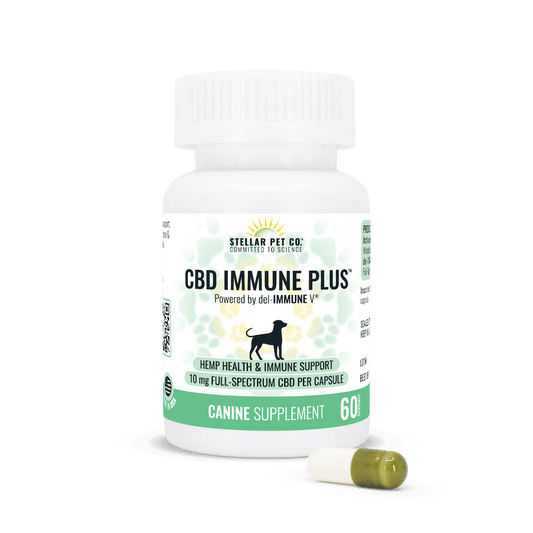 CBD Immune Plus™ for Dogs